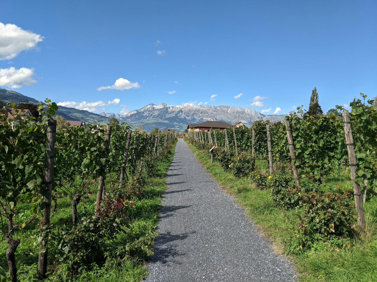 Finca Diamante, bodega boutique en San Rafael